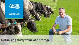 Optimising slurry value and storage